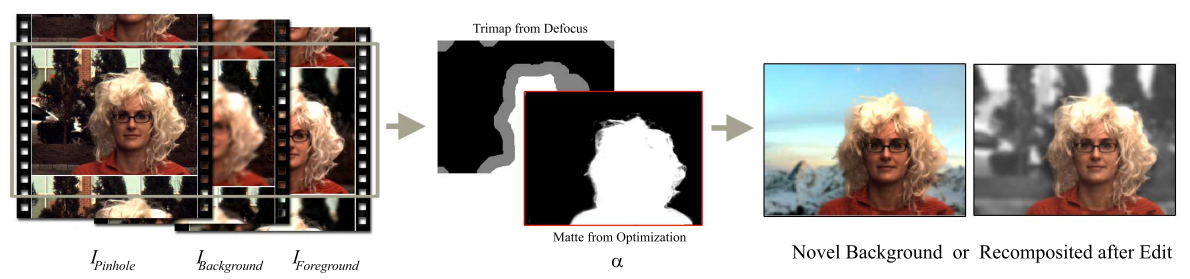 Defocus Video Matting