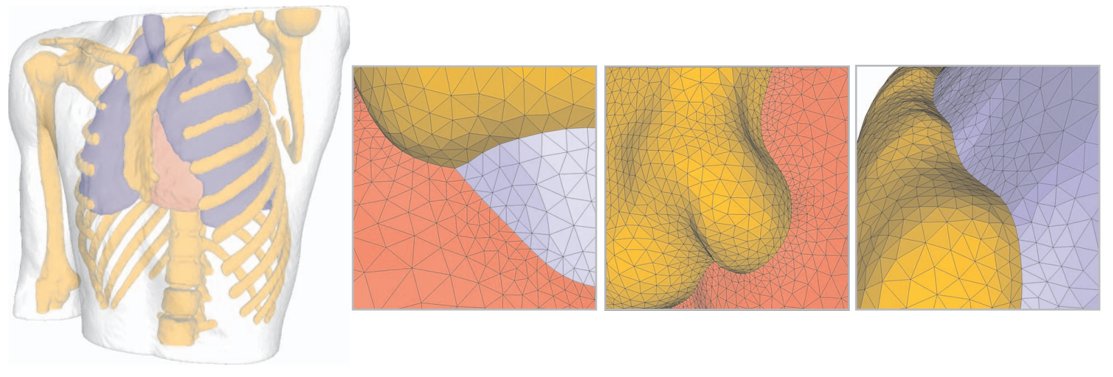 Particle-based Sampling and Meshing of Surfaces in Multimaterial Volumes