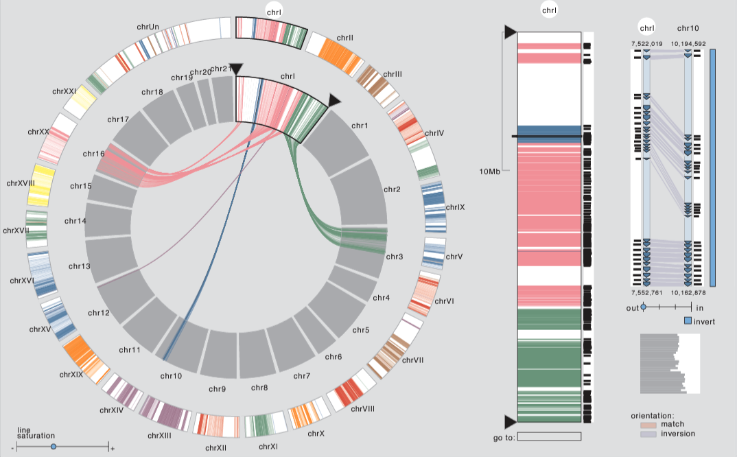 MizBee: A Multiscale Synteny Browser