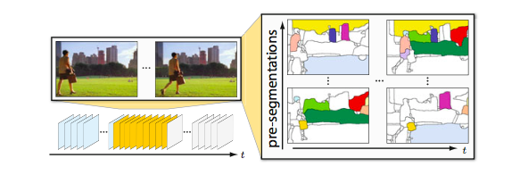 Multiple Hypothesis Video Segmentation from Superpixel Flows