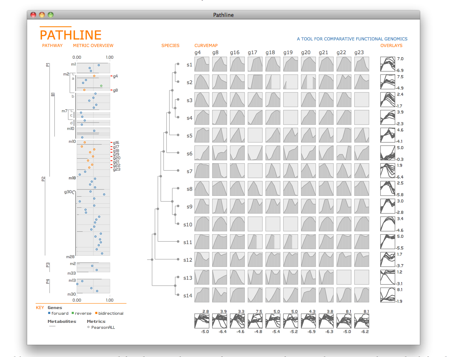 Pathline: A Tool for Comparative Functional Genomics
