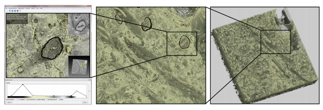 Interactive Volume Exploration of Petascale Microscopy Data Streams Using a Visualization-Driven Virtual Memory Approach