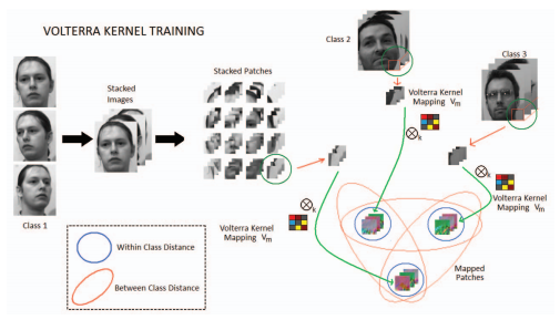 Trainable convolution filters and their application to face recognition