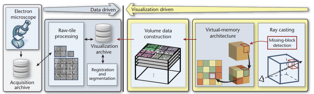 Exploring the Connectome - Petascale Volume Visualization of Microscopy Data Streams