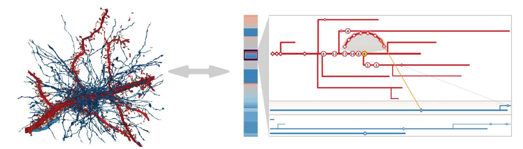 NeuroLines: A Subway Map Metaphor for Visualizing Nanoscale Neuronal Connectivity