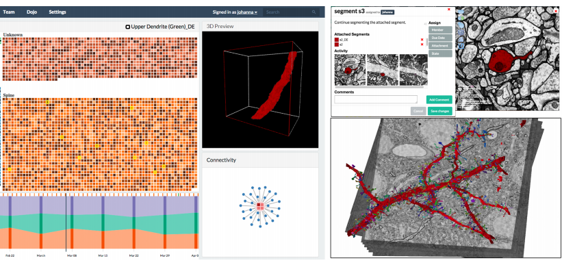 NeuroBlocks - Visual Tracking of Segmentation and Proofreading for Large Connectomics Projects