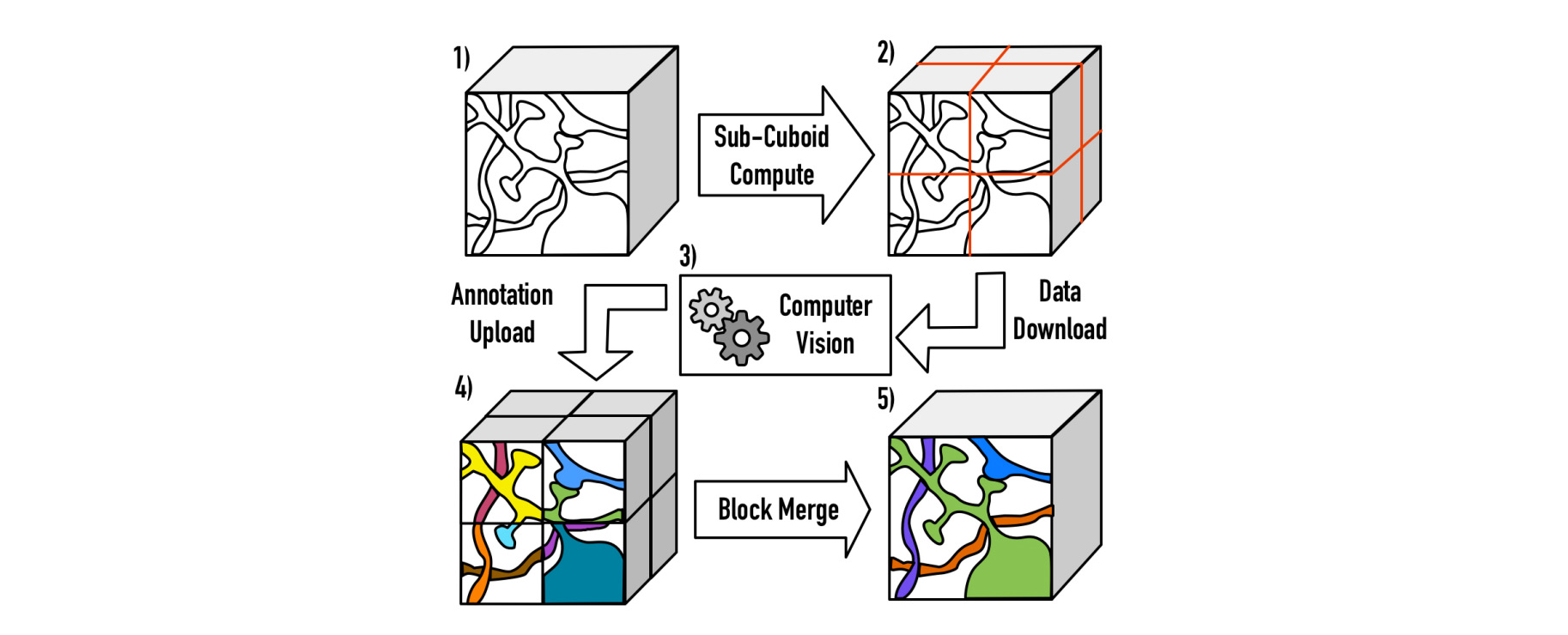 An Automated Images-to-Graphs Framework for High Resolution Connectomics