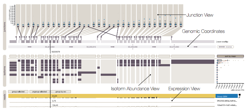 Vials: Visualizing Alternative Splicing of Genes