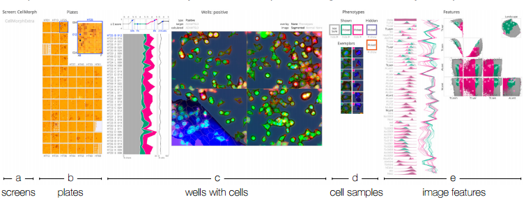 Screenit: Visual Analysis of Cellular Screens