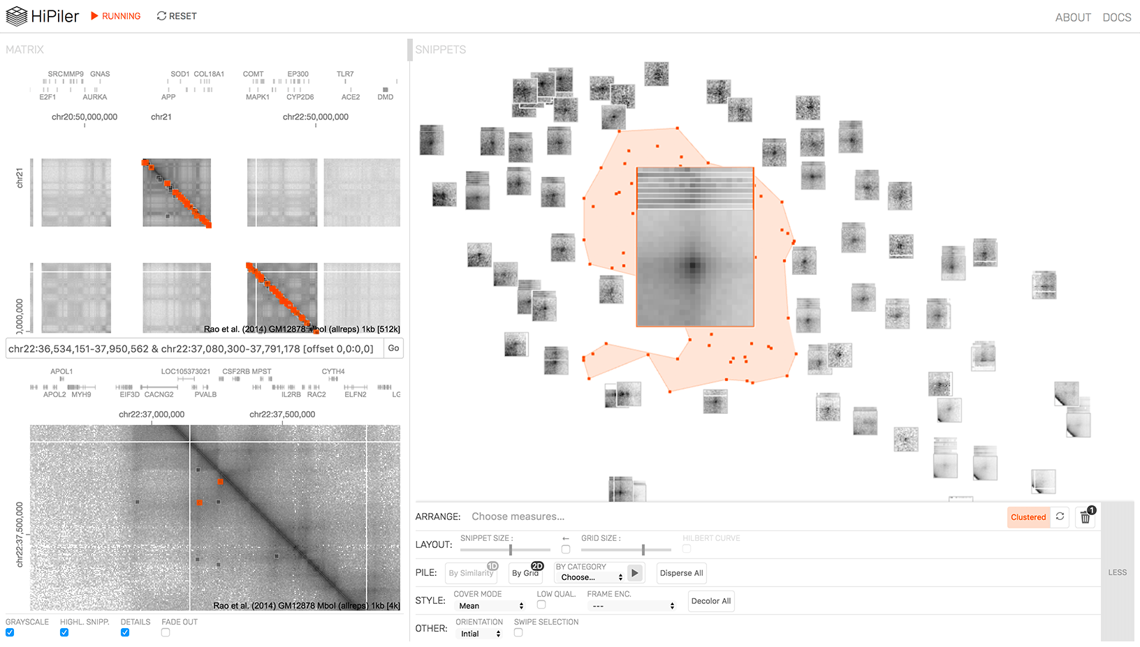 HiPiler: Visual Exploration Of Large Genome Interaction Matrices With Interactive Small Multiples