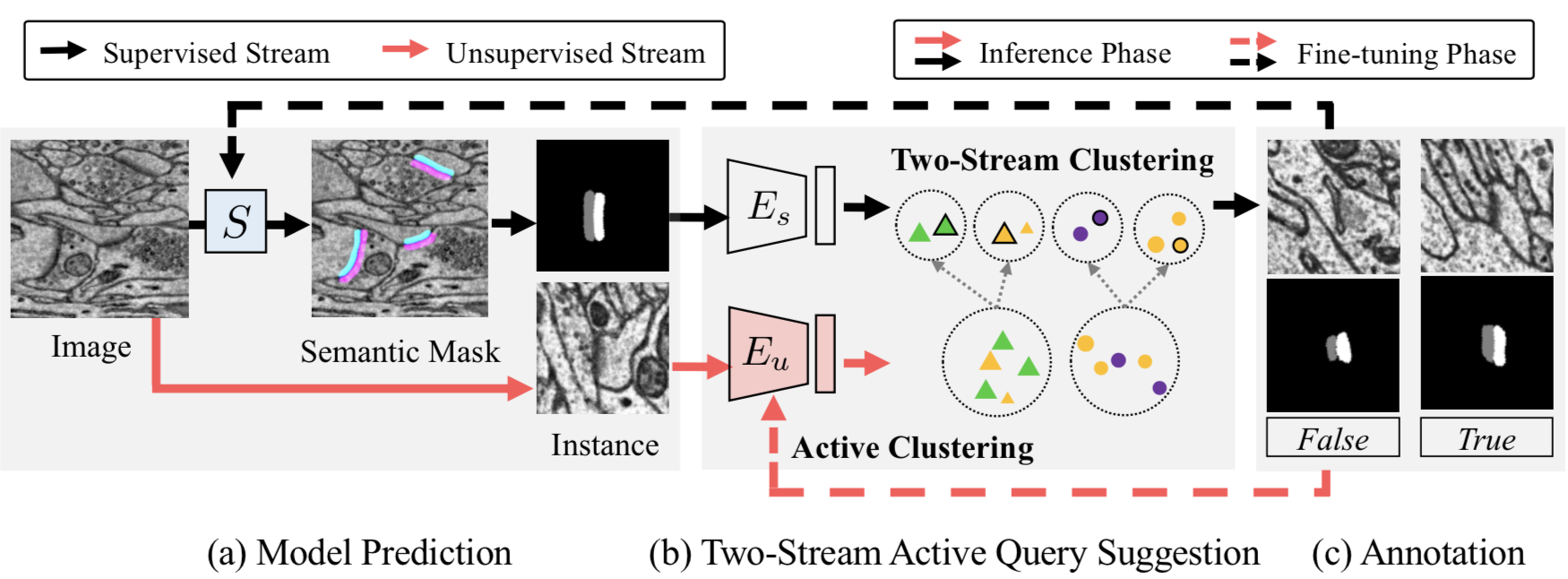 Two Stream Active Query Suggestion for Active Learning in Connectomics