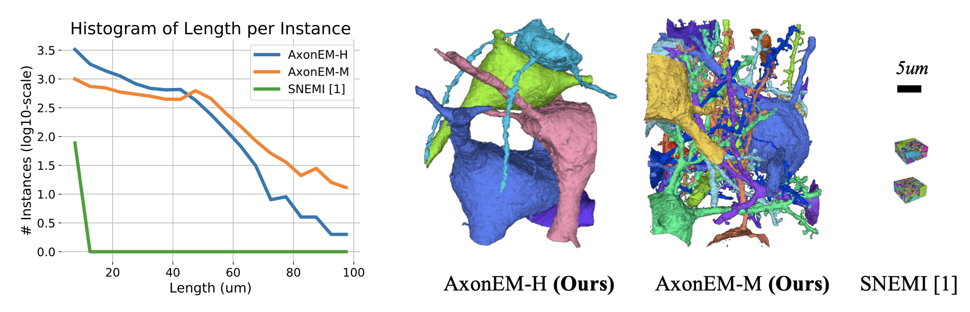 AxonEM Dataset: 3D Axon Instance Segmentation of Brain Cortical Regions