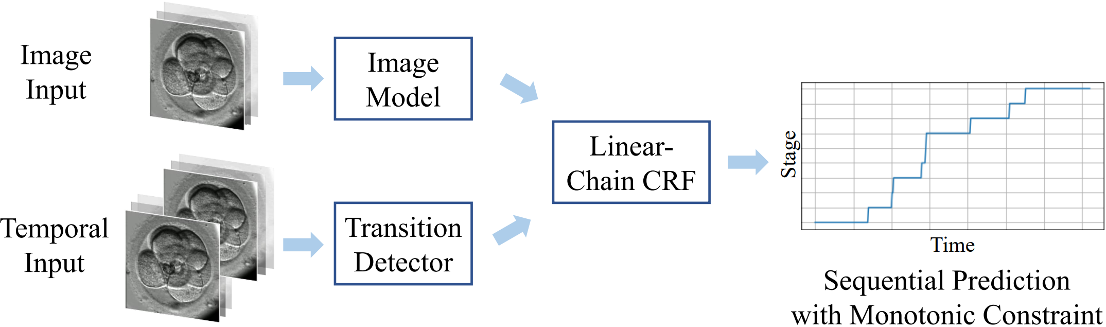 Developmental Stage Classification of Embryos Using Two-Stream Neural Network with Linear-Chain Conditional Random Field