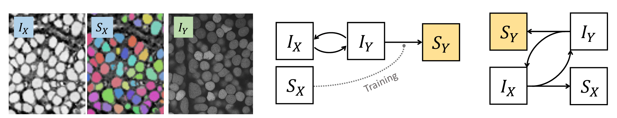 Instance Segmentation of Unlabeled Modalities via Cyclic Segmentation GAN