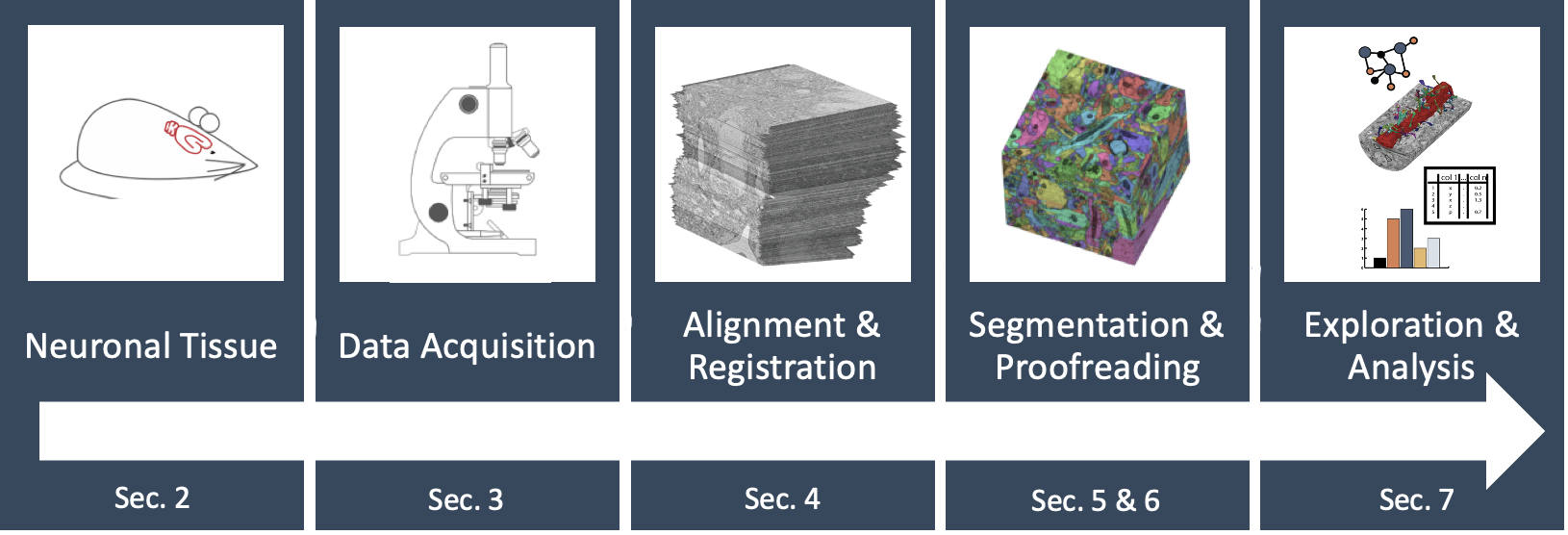 A Survey of Visualization and Analysis in High-Resolution Connectomics