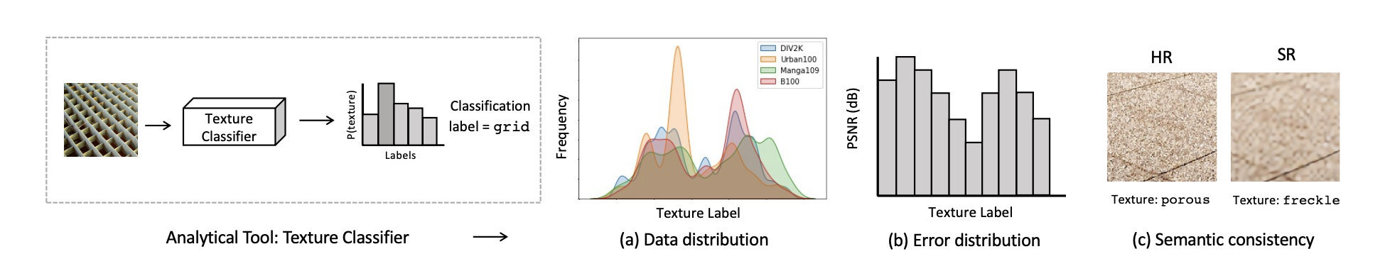 Texture-based Error Analysis for Image Super-Resolution
