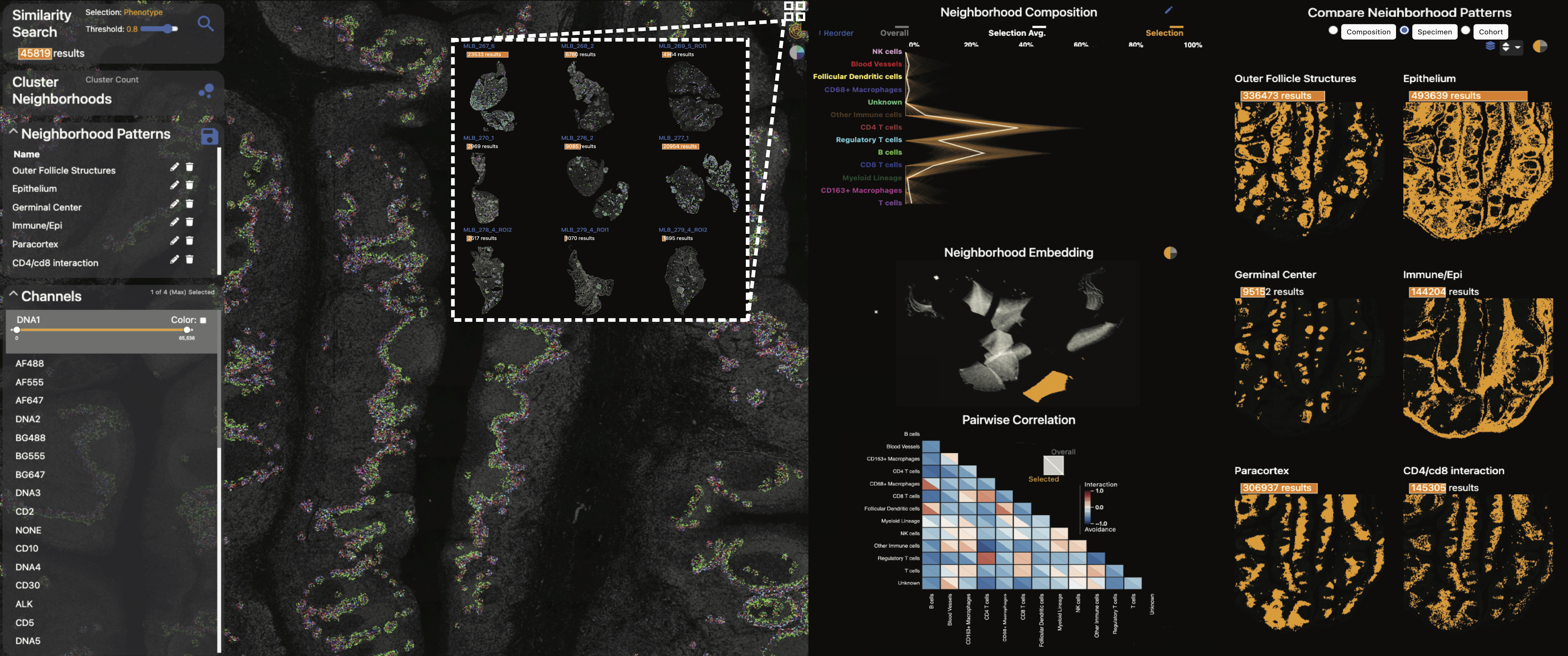 Visinity: Visual Spatial Neighborhood Analysis for Multiplexed Tissue Imaging Data