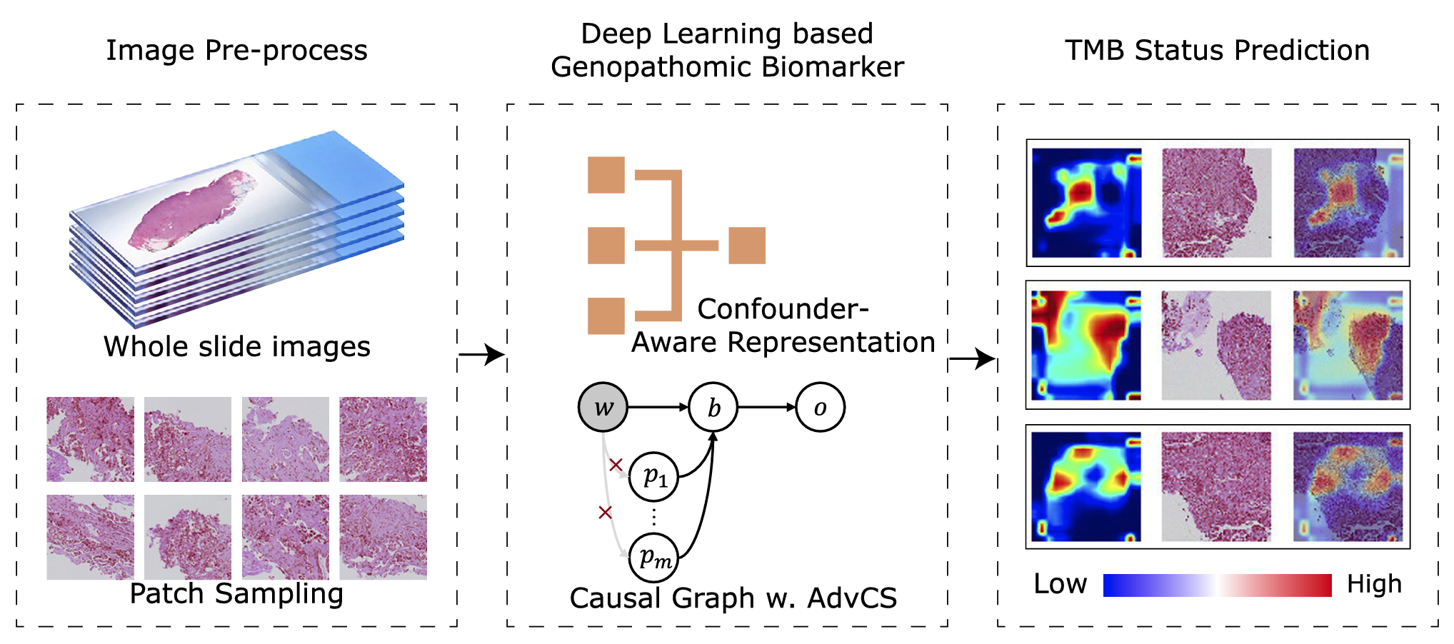 Genopathomic profiling identifies signatures for immunotherapy response of lung adenocarcinoma via confounder-aware representation learning