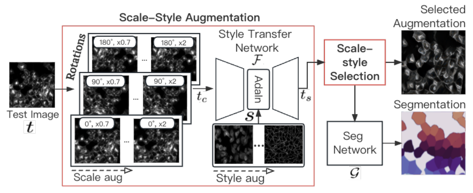 S3-TTA: Scale-Style Selection for Test-Time Augmentation in Biomedical Image Segmentation