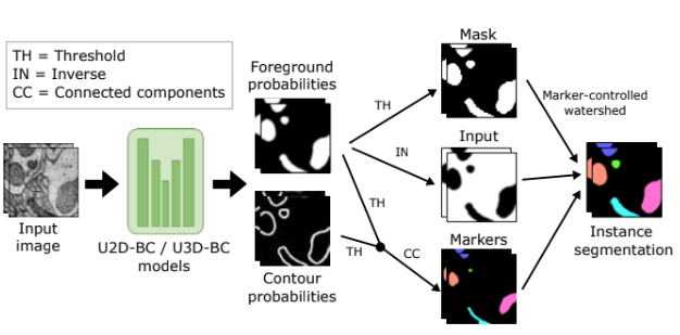 Current Progress and Challenges in Large-scale 3D Mitochondria Instance Segmentation