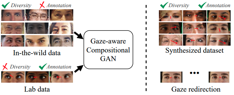 Learning Gaze-aware Compositional GAN from Limited Annotations