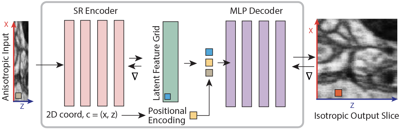 niiv: Fast Self-supervised Neural Implicit Isotropic Volume Reconstruction