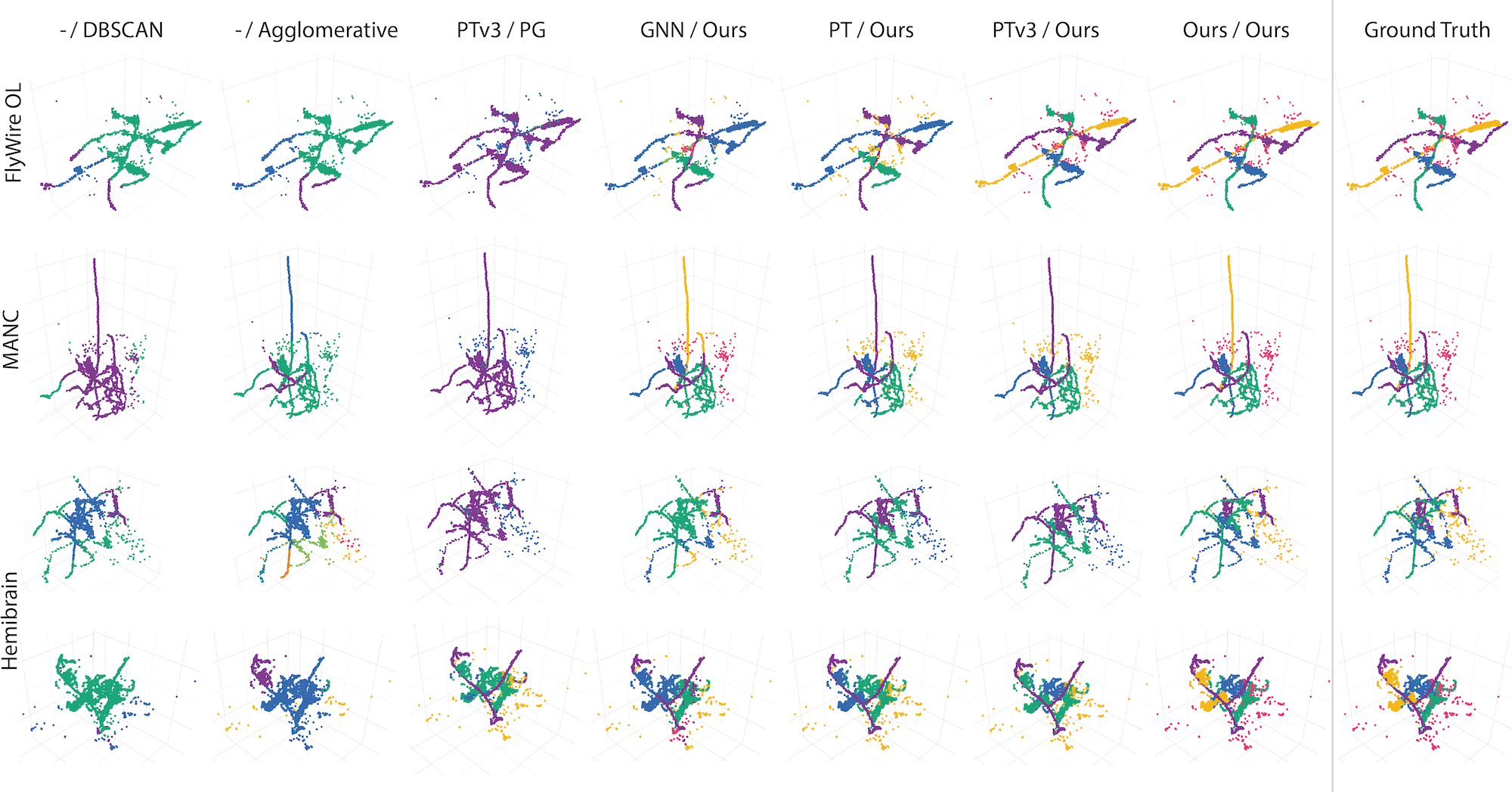 Global Neuron Shape Reasoning with Point Affinity Transformers