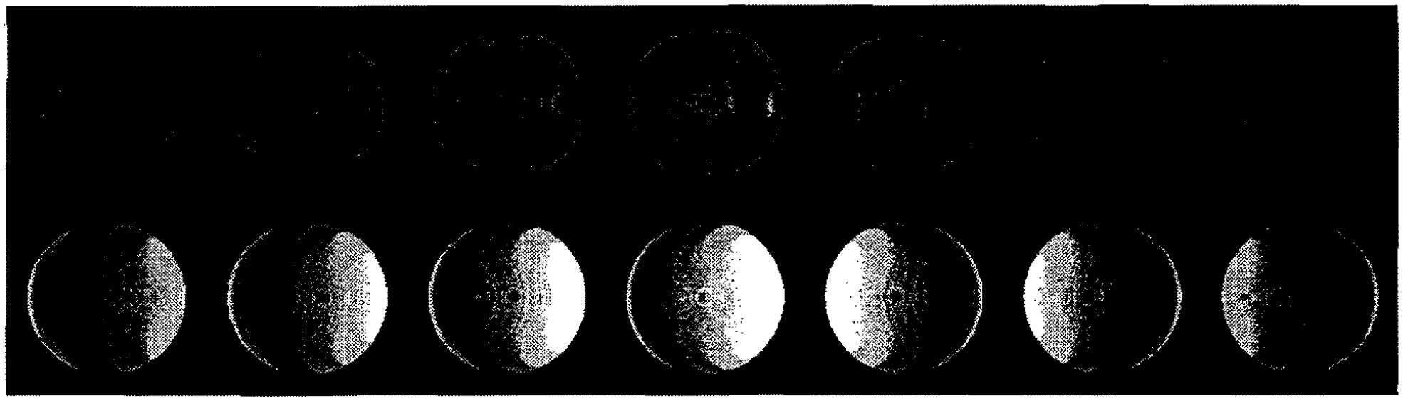 Sheared Interpolation and Gradient Estimation for Real-Time Volume Renderings