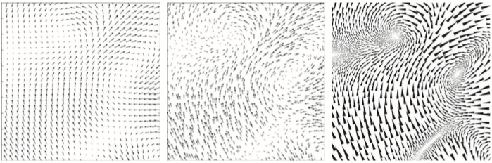 NIH-NSF Visualization Research Challenges Report