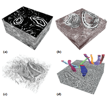 SSECRETT and NeuroTrace: Interactive Visualization and Analysis Tools for Large-Scale Neuroscience Datasets