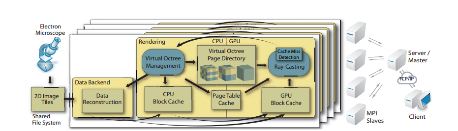 Distributed Terascale Volume Visualization Using Distributed Shared Virtual Memory