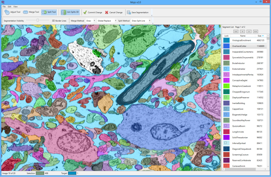 Mojo 2.0: Connectome annotation tool