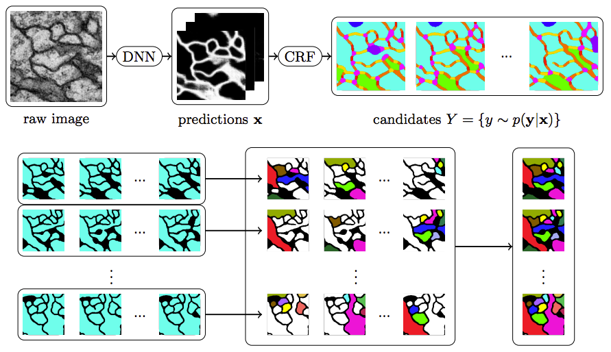Candidate Sampling for Neuron Reconstruction From Anisotropic Electron Microscopy Volumes