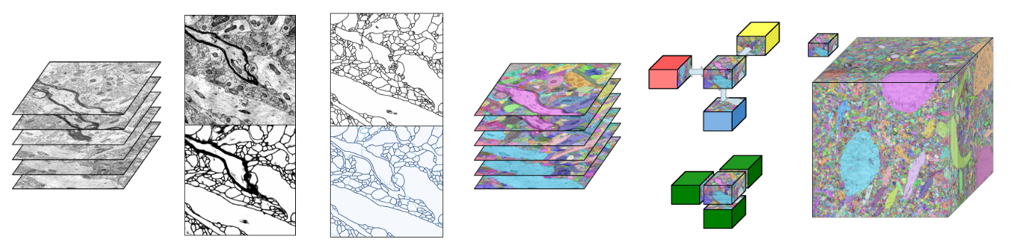 RhoanaNet Pipeline: Dense Automatic Neural Annotation