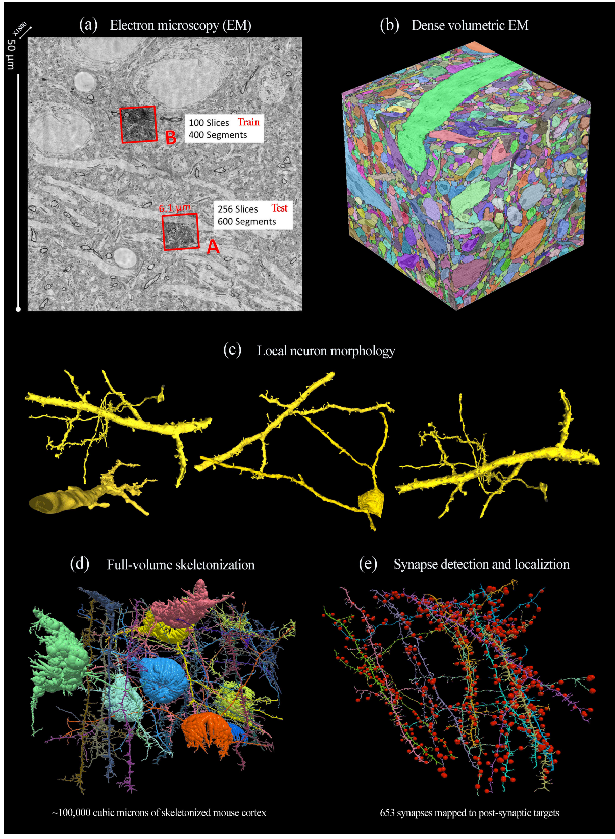 A Multi-Pass Approach to Large-Scale Connectomics