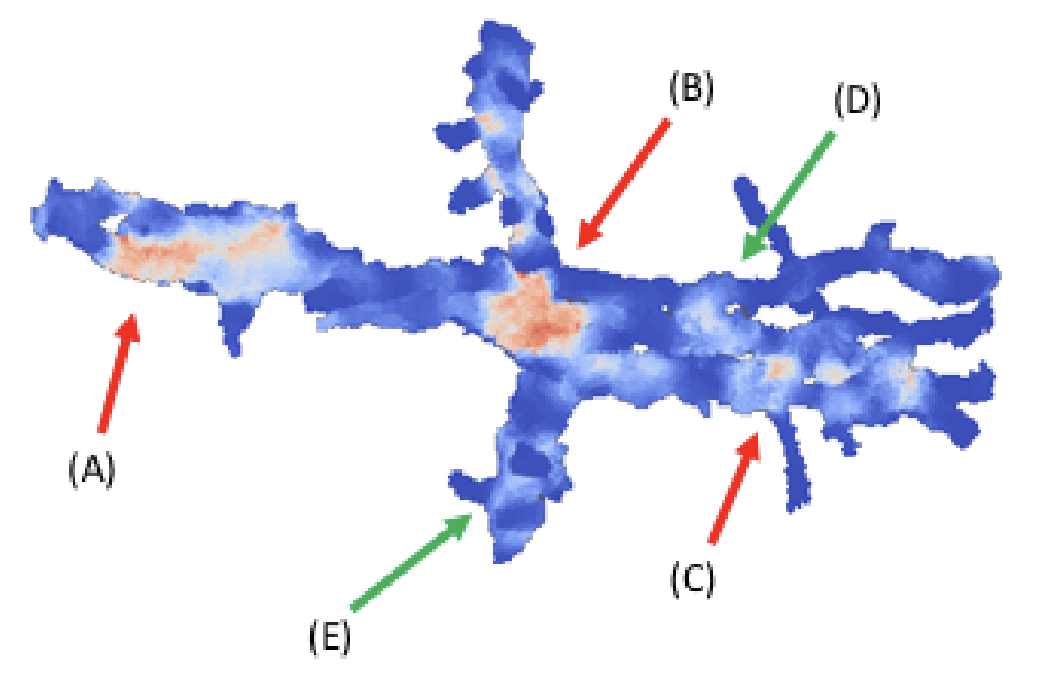 Morphological Error Detection in 3D Segmentations