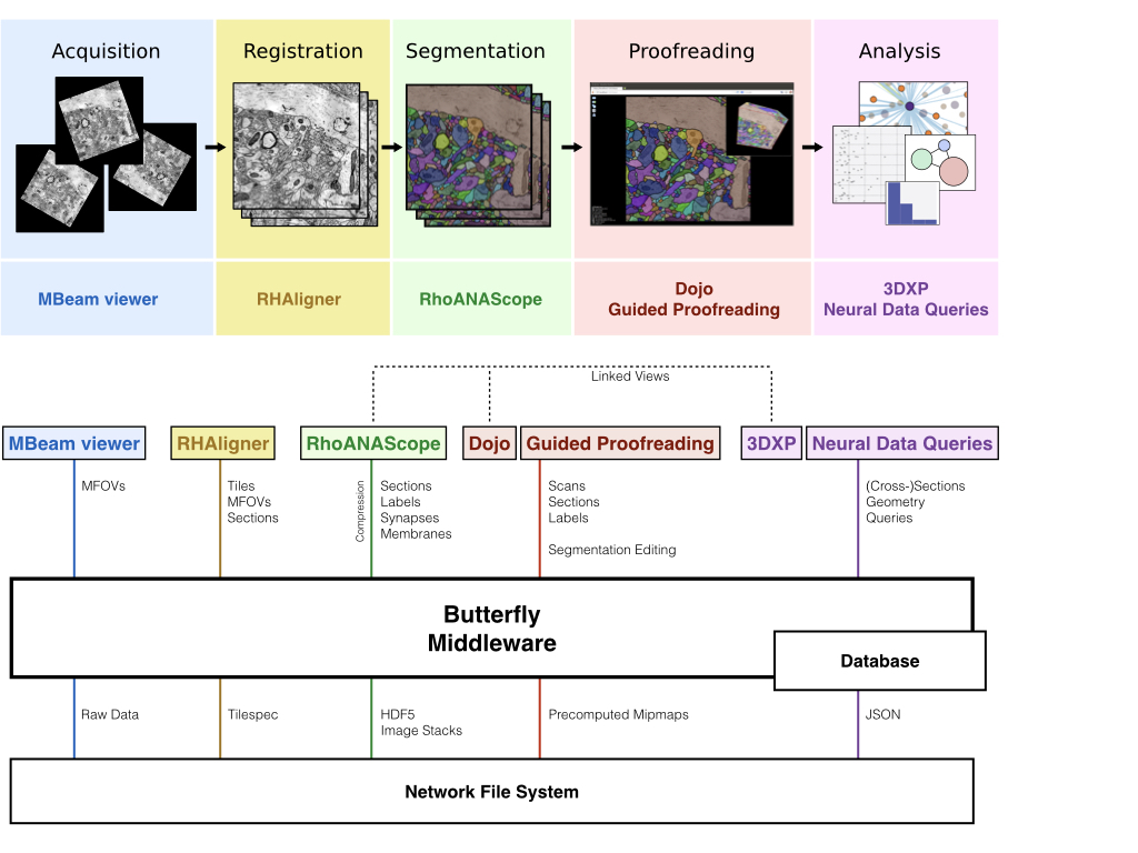 Scalable Interactive Visualization for Connectomics