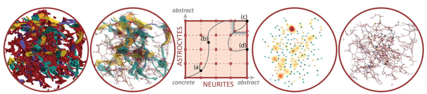 Abstractocyte: A Visual Tool for Exploring Nanoscale Astroglial Cells