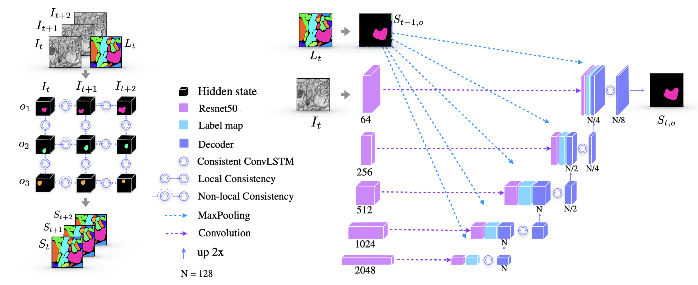 Consistent Recurrent Neural Networks for 3D Neuron Segmentation