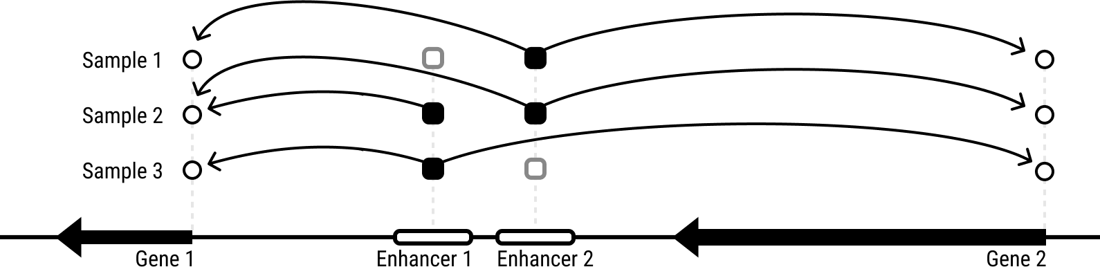 Genome-wide enhancer maps link risk variants to disease genes