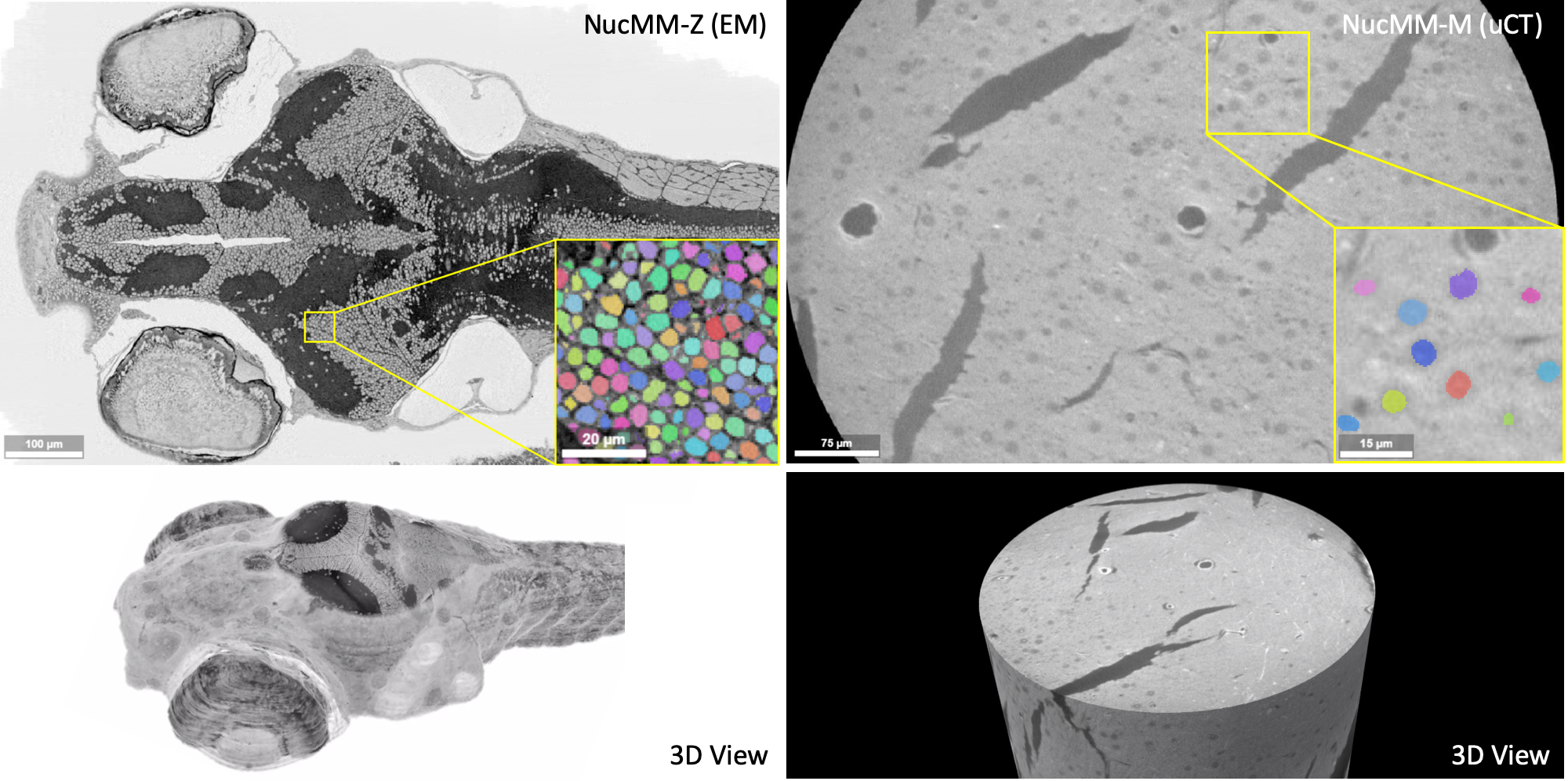 NucMM Dataset: 3D Neuronal Nuclei Instance Segmentation at Sub-Cubic Millimeter Scale