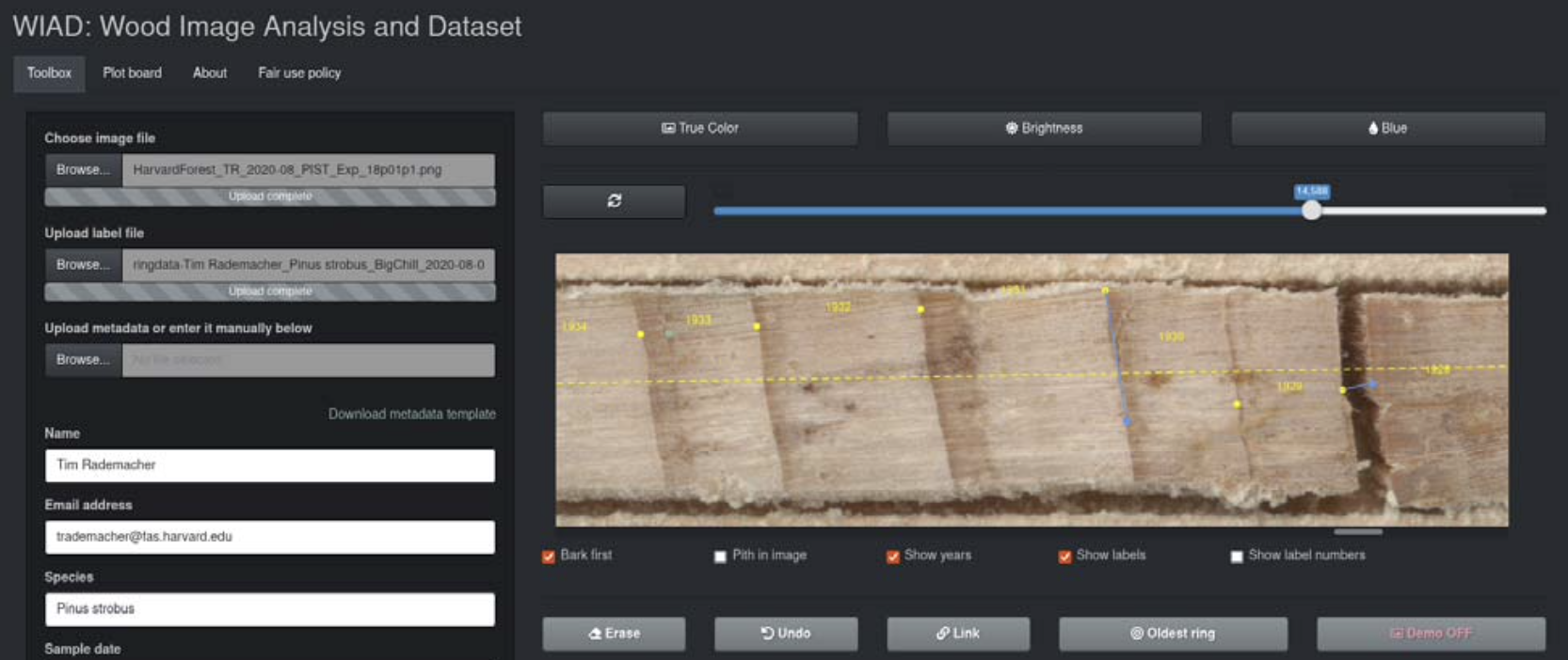 The Wood Image Analysis and Dataset (WIAD): open-access visual analysis tools to advance the ecological data revolution