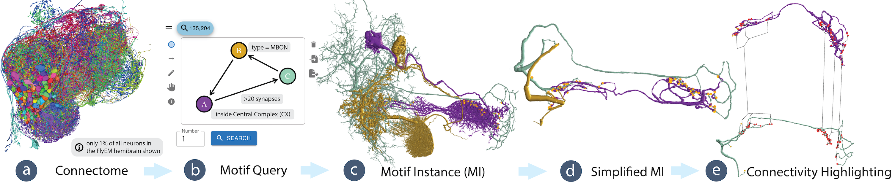Vimo: Visual Analysis of Neuronal Connectivity Motifs