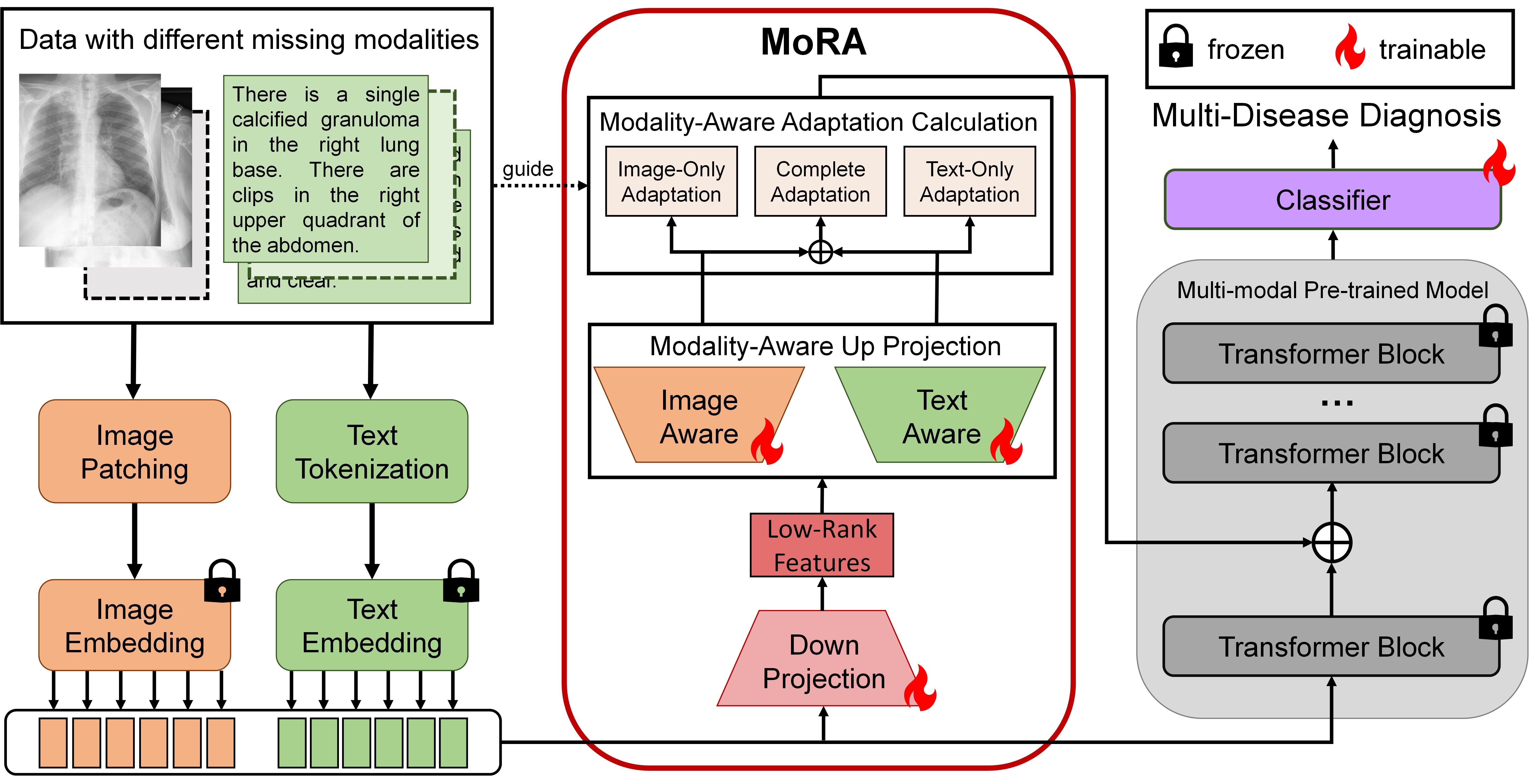 MoRA: LoRA Guided Multi-modal Disease Diagnosis with Missing Modality