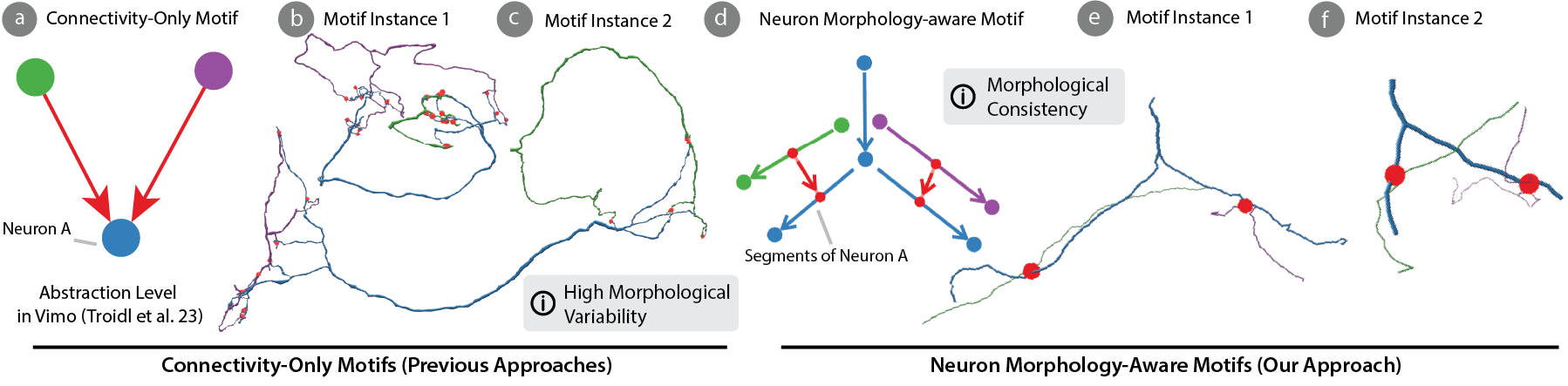 MoMo - Combining Neuron Morphology and Connectivity for Interactive Motif Analysis in Connectomes