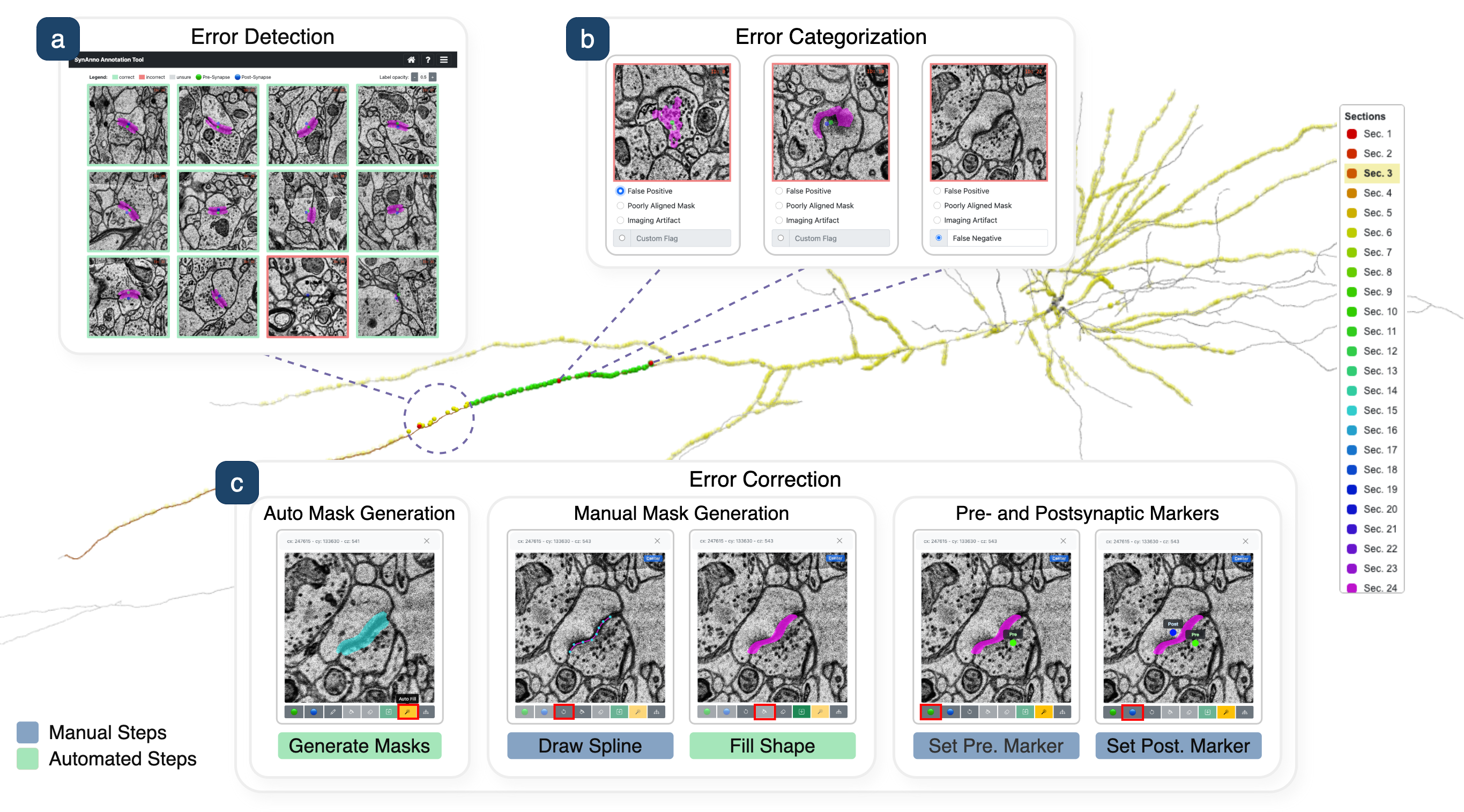 SynAnno: Interactive Guided Proofreading of Synaptic Annotations