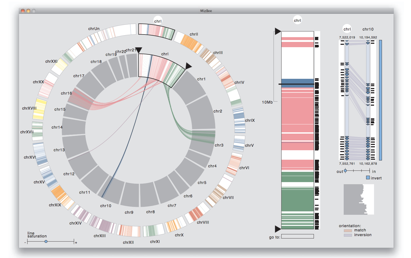 MizBee: a Multiscale Synteny Browser