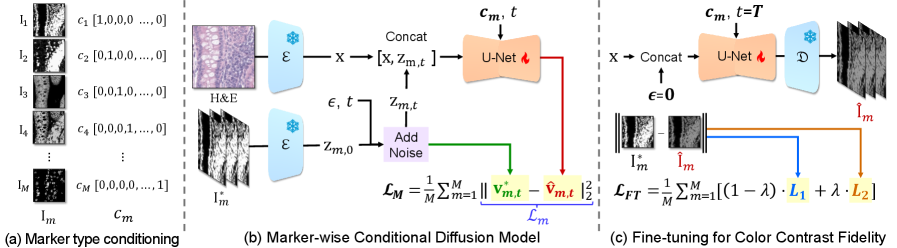 Virtual Multiplex Staining for Histological Images Using a Marker-wise Conditioned Diffusion Model